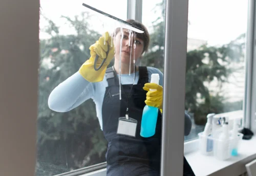 Nettoyage de vitres intérieures et extérieures à Virignin